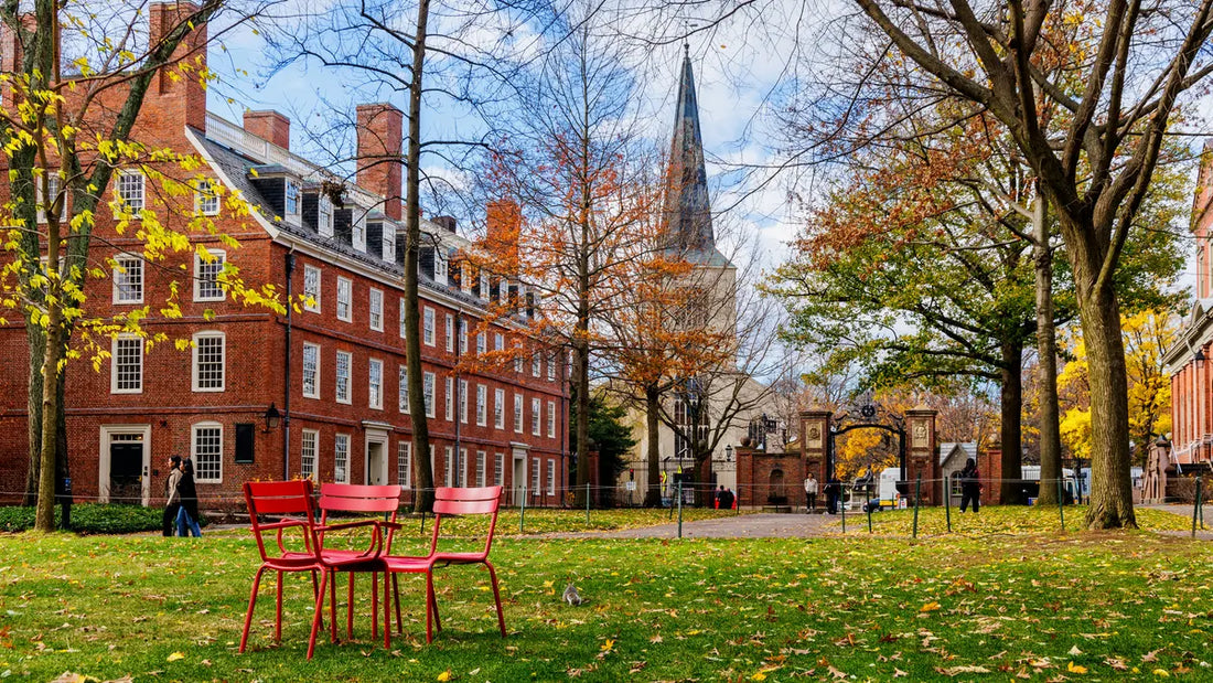 Cradle of Knowledge: 249 Days Out – Harvard's Legacy of Enlightenment