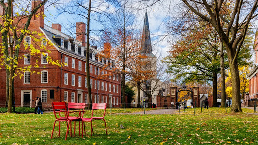 Cradle of Knowledge: 249 Days Out – Harvard's Legacy of Enlightenment